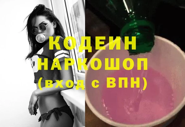 сатива Корсаков