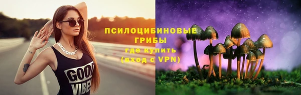 молекула духа Коряжма