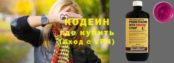 сатива Корсаков