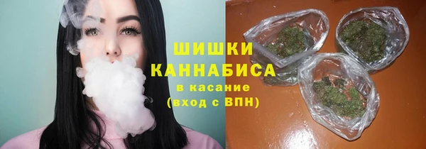 молекула духа Коряжма