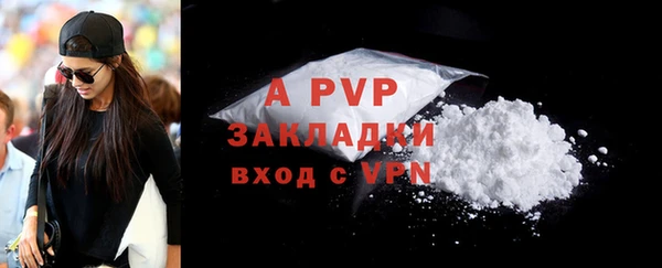 сатива Корсаков