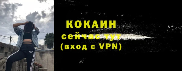 сатива Корсаков