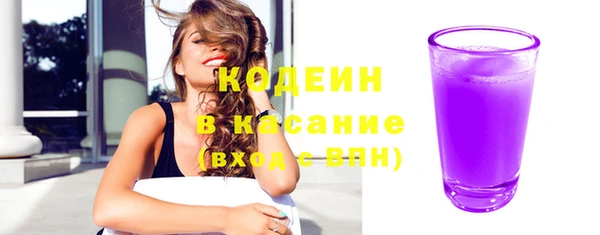 сатива Корсаков