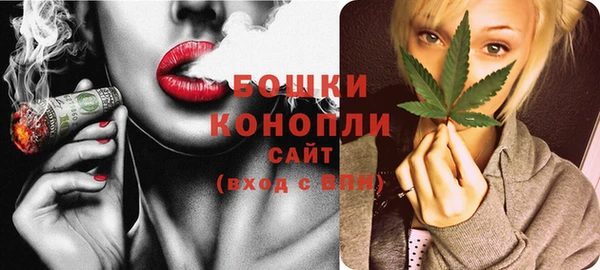 сатива Корсаков