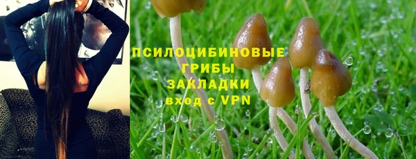 кокс Михайловск