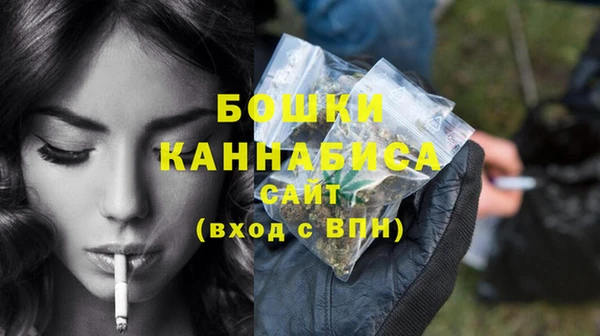 сатива Корсаков