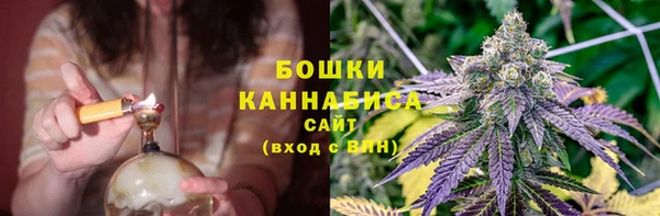 сатива Корсаков