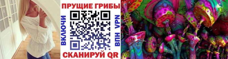Псилоцибиновые грибы GOLDEN TEACHER  Брюховецкая 